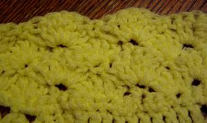 Crochet shell edging (closed)